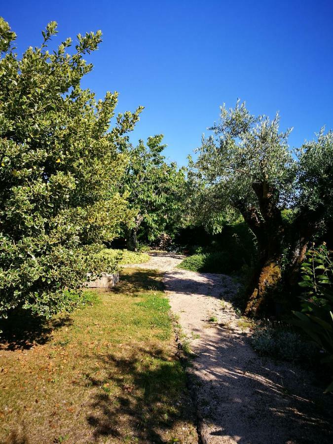 Casa da Fonte Villa Alviobeira Esterno foto